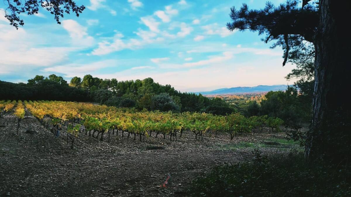 L'Appartement De L'Arche Châteauneuf-de-Gadagne Εξωτερικό φωτογραφία