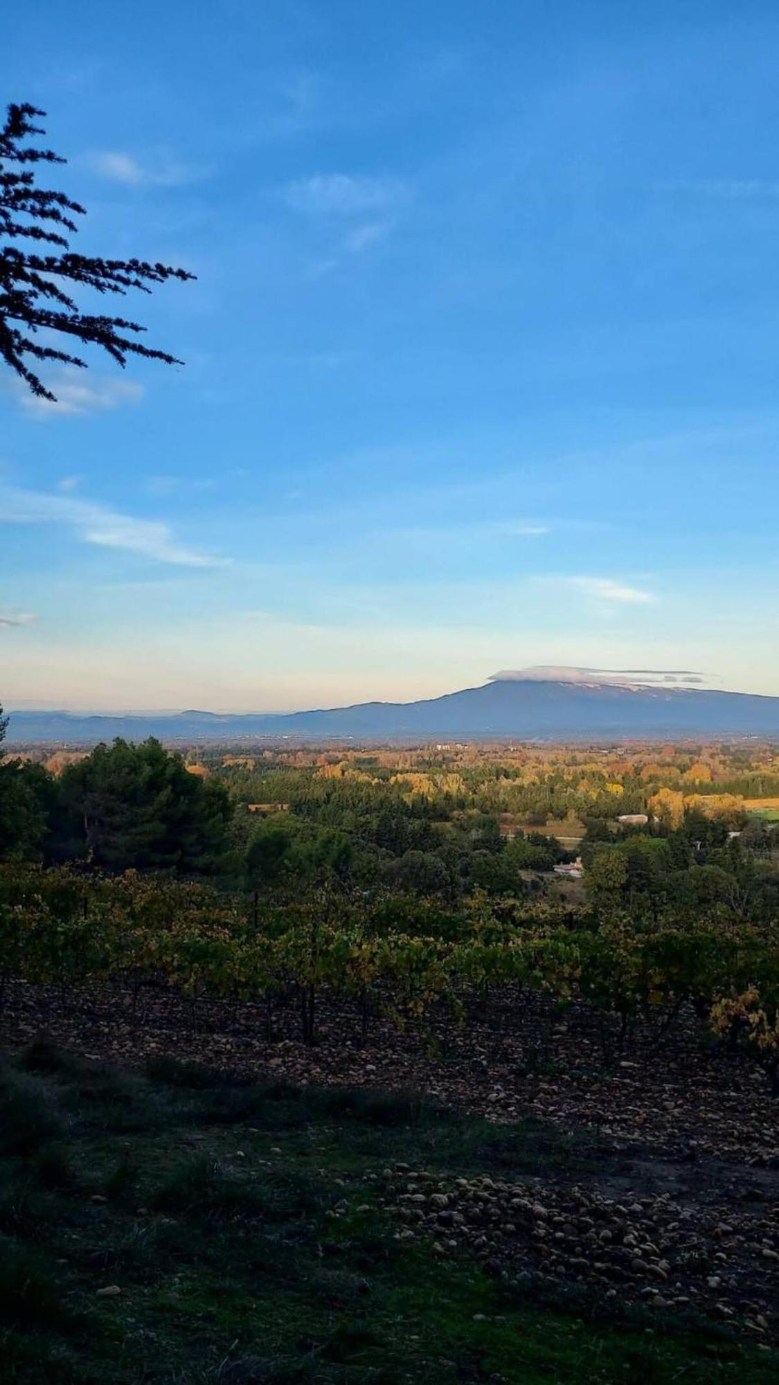 L'Appartement De L'Arche Châteauneuf-de-Gadagne Εξωτερικό φωτογραφία