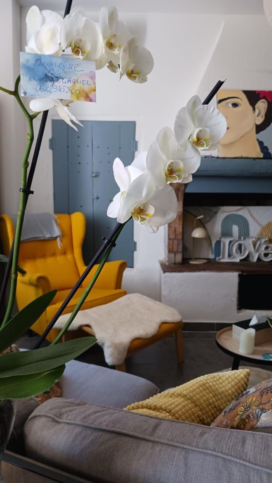 L'Appartement De L'Arche Châteauneuf-de-Gadagne Εξωτερικό φωτογραφία